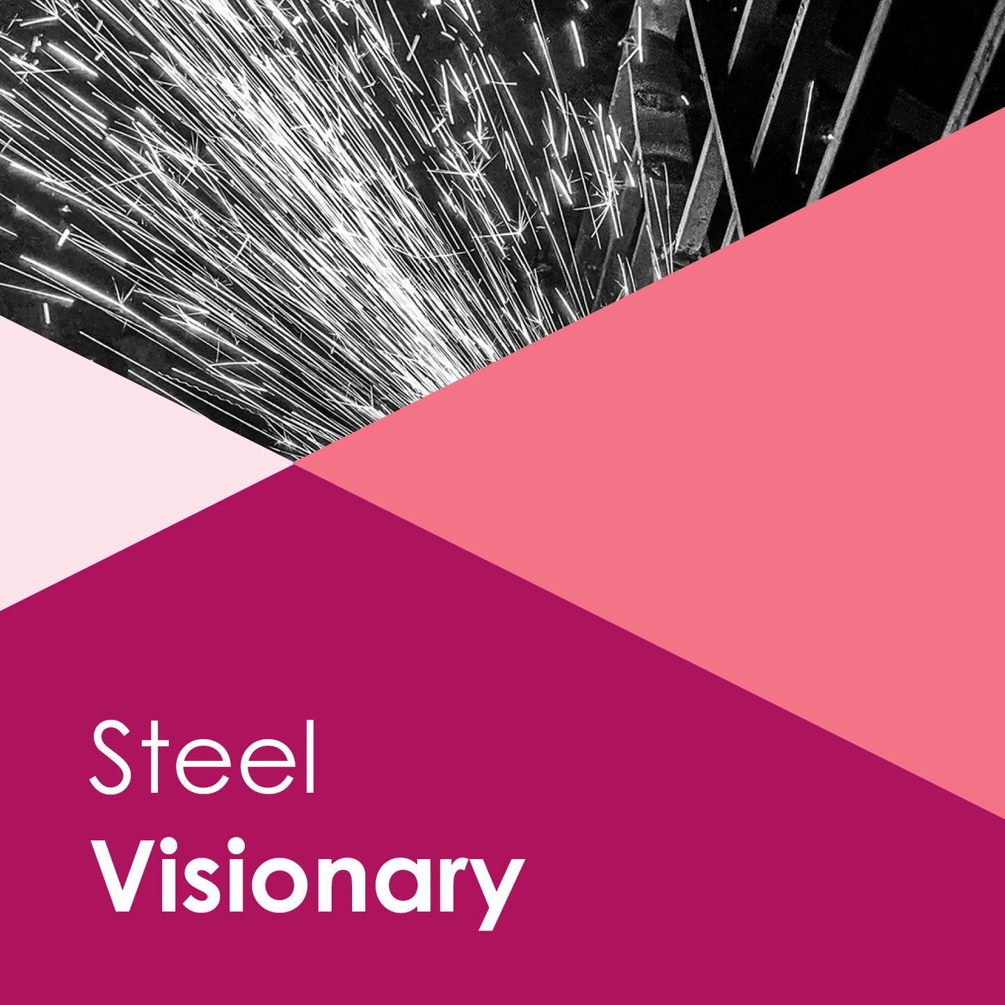 Steel Visionary Corporate Membership